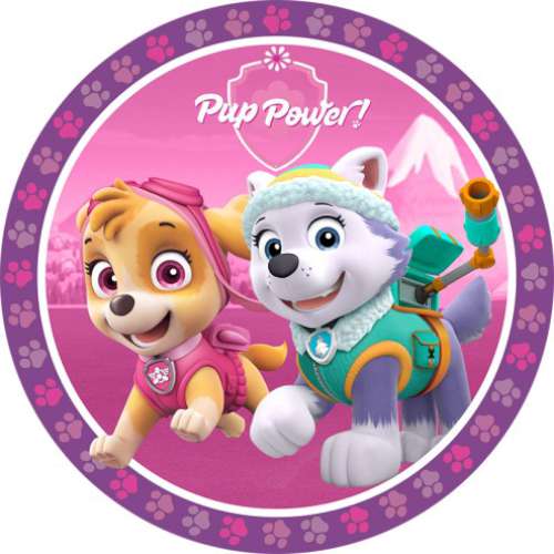 Paw Patrol Girls Edible Icing Image - Click Image to Close